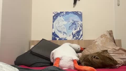 Wizard online show from February 9, 8:02 pm