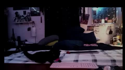 tinalover4u2 online show from November 23, 8:56 am