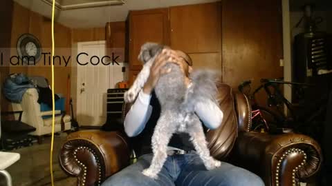 tinycock_1979 online show from April 19, 9:54 am