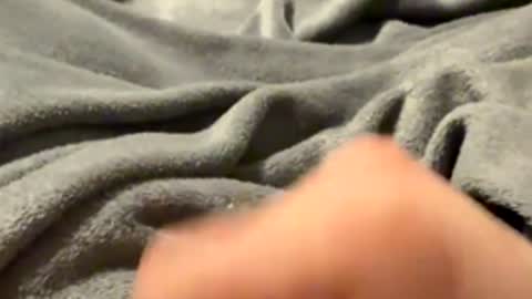 tmue online show from February 27, 1:37 pm