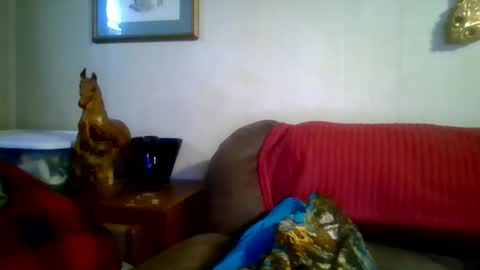 Vols online show from February 13, 6:11 pm