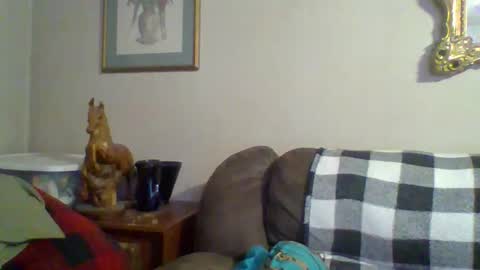 Vols online show from November 11, 1:08 am