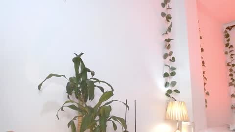 Tommy Foxboy online show from March 5, 5:18 pm