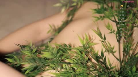 Toshi online show from October 26, 1:01 pm