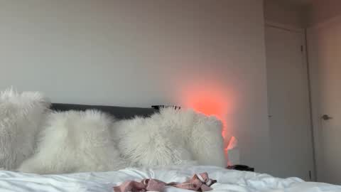 transfrmgirl98 online show from November 18, 9:51 pm