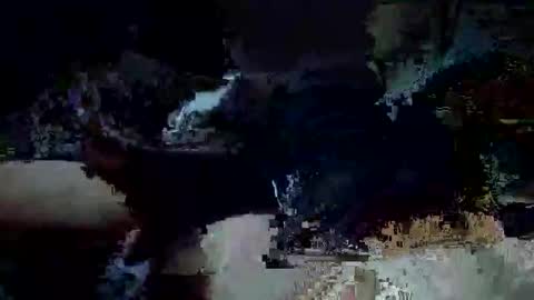 Snapshot of travelbait chatting on October 24, 9:59 pm travelbait online show from October 24, 9:59 pm