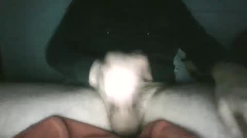 trekkertje666 online show from January 25, 8:00 am