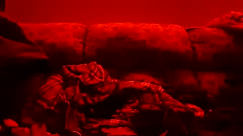 tretrix5588 online show from January 11, 10:51 am