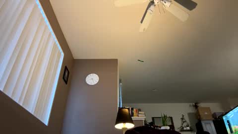 trickydick6 online show from November 27, 4:25 pm