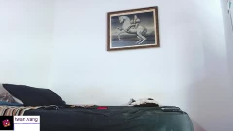 Trix online show from November 22, 4:00 am