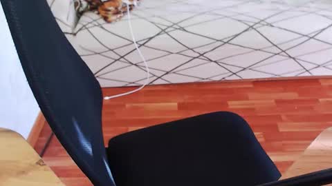 I POST MY FUCKING VIDEOS AND PICS    online show from March 25, 10:55 am