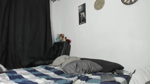 Troy online show from February 10, 11:02 am