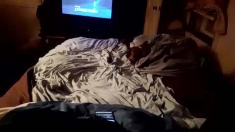 trypodman online show from September 19, 7:12 am