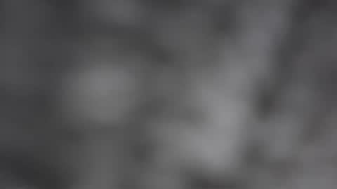 Lexi Longg online show from March 20, 3:22 am