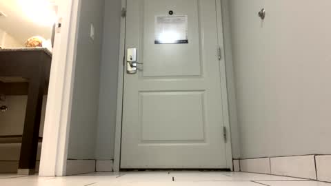 Queen Orleans online show from January 14, 1:04 am