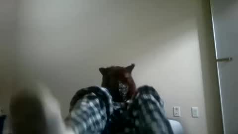 Snapshot of twinkyteddy chatting on October 10, 2:06 am twinkyteddy online show from October 10, 2:06 am
