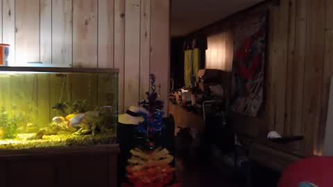 Snapshot of twocumkerry chatting on February 13, 8:06 am twocumkerry online show from February 13, 8:06 am