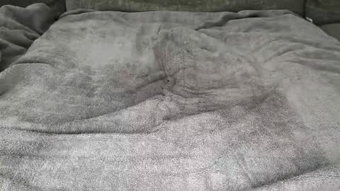 TylerC online show from February 5, 7:17 pm