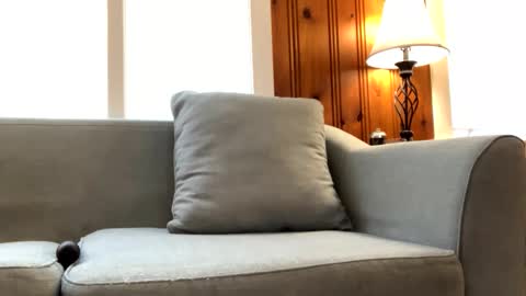 Tyler Sands online show from February 26, 2:49 pm