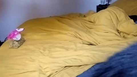 Snapshot of tylershroyer7 chatting on October 28, 3:24 pm Dudeman online show from October 28, 3:24 pm