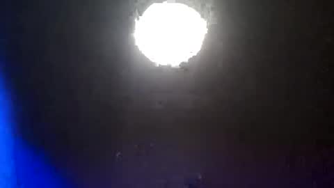 u3599977450 online show from January 29, 9:44 am