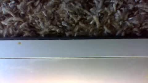 Snapshot of uncut_papi1989 chatting on January 24, 6:25 pm tele kuzhbuzh online show from January 24, 6:25 pm