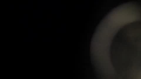 Lily online show from November 17, 11:35 am