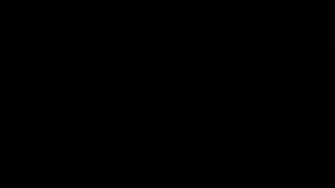 Lily online show from December 5, 3:10 pm