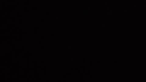 ALINA online show from November 5, 7:05 pm