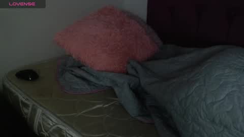 Snapshot of vanessa_lovea chatting on December 5, 10:28 am Vanessa online show from December 5, 10:28 am