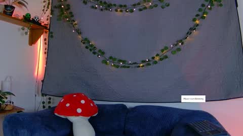 Vayolett online show from November 9, 11:29 pm