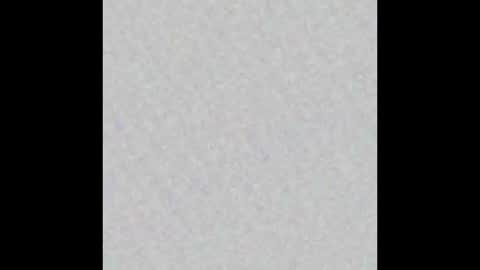 Vero  online show from January 31, 7:22 pm