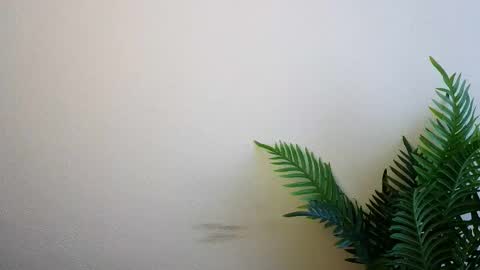 Ana online show from October 27, 12:27 pm