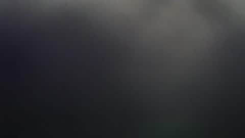 vichrisvi online show from October 20, 8:08 am