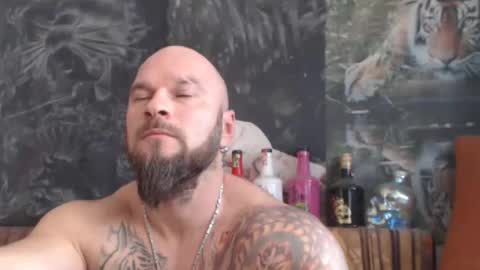 viking online show from December 16, 11:05 am