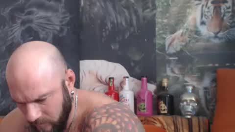 viking online show from October 28, 11:11 am