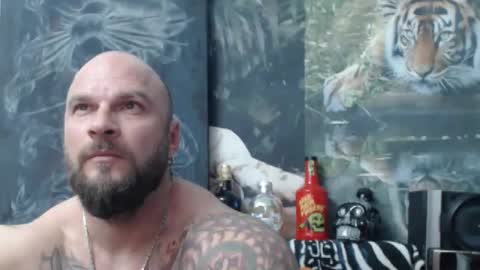 viking online show from April 12, 5:50 pm