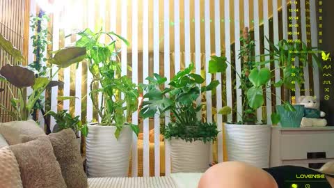 Violetta online show from November 6, 10:02 pm