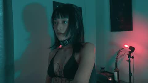 vortexspecter online show from October 19, 8:46 pm