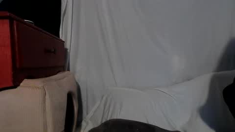 Rose online show from December 13, 4:00 am