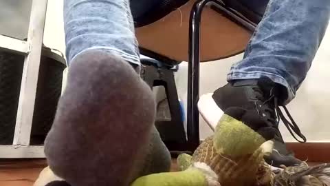 WaltherFeet  online show from February 10, 6:56 pm