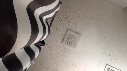 wanttowatch87 online show from February 20, 7:34 am