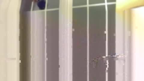 watchmecumforyou___ online show from November 22, 3:05 am