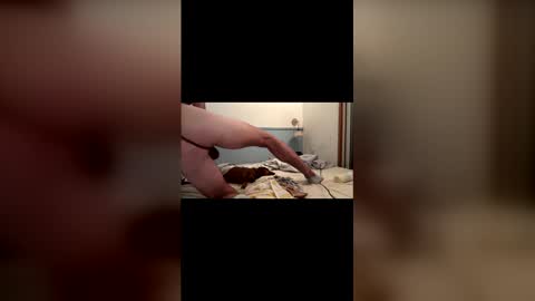 watershed111111 online show from February 8, 10:08 am