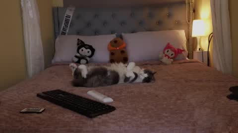 Snapshot of wayuu_goddess chatting on October 5, 6:59 pm Wayuu Goddess 3 online show from October 5, 6:59 pm
