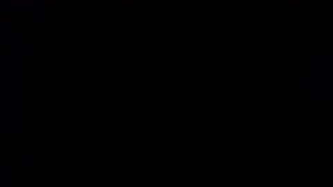 wellingtont online show from November 29, 5:59 am