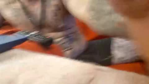 werhorny3 online show from December 2, 9:07 am