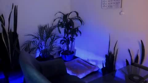 tatty online show from October 2, 12:42 am