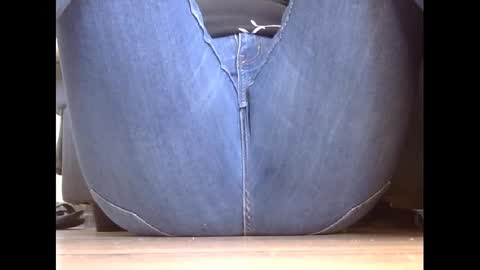 wet_pants2022 online show from March 3, 1:45 pm