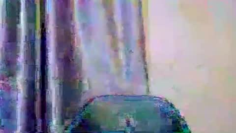 wetfatpussy_ online show from March 2, 6:14 pm